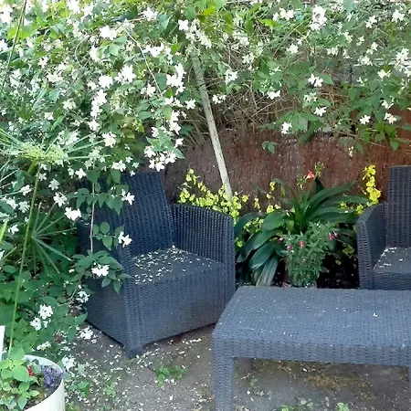 Sequoia Garden ボルドー