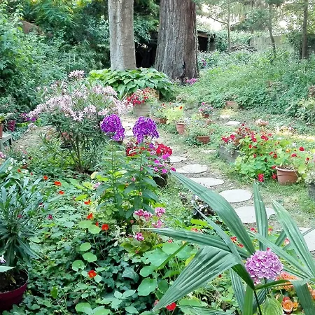 Sequoia Garden 3* Bordéus