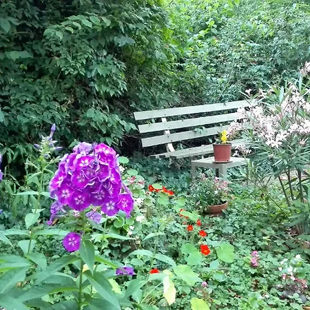 Alojamento de Acomodação e Pequeno-almoço Sequoia Garden Bordéus