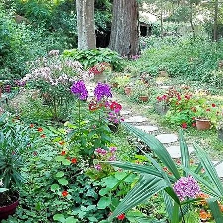 Sequoia Garden 3* Bordeaux