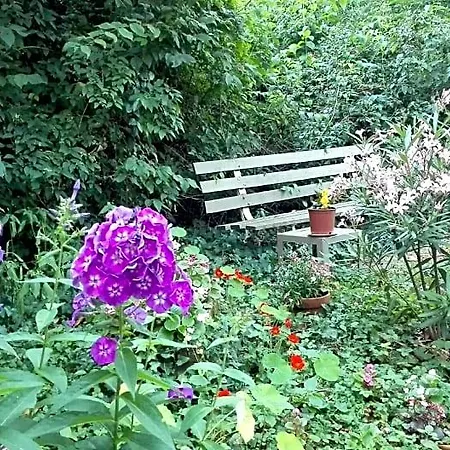 Sequoia Garden 3* Bordeaux