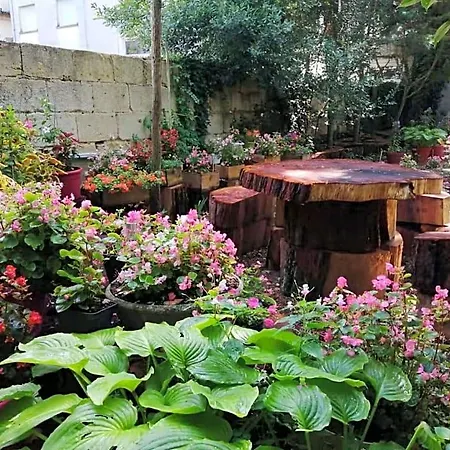 Oda ve Kahvaltı Sequoia Garden 3*