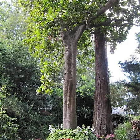 Sequoia Garden Frühstückspension