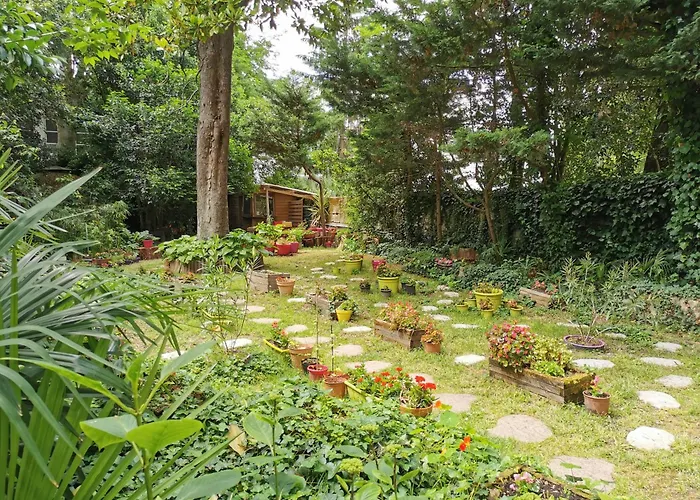 Alojamento de Acomodação e Pequeno-almoço Sequoia Garden 3*