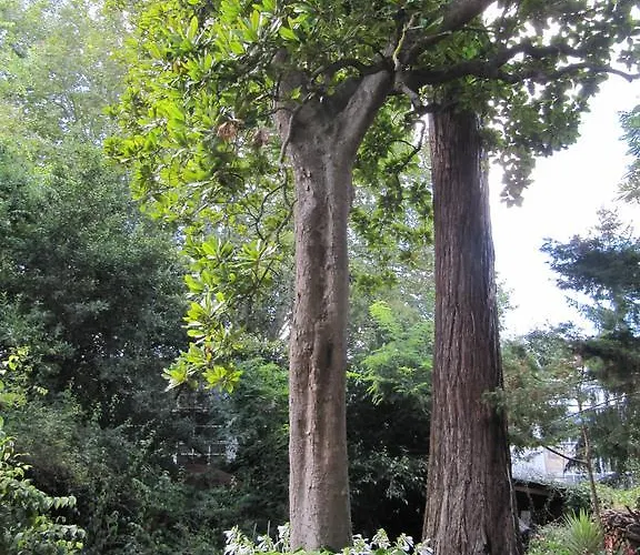 Sequoia Garden فندق مبيت وإفطار