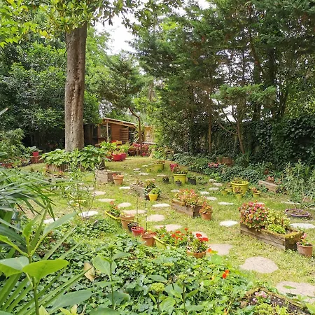 Bed and Breakfast Sequoia Garden 3*